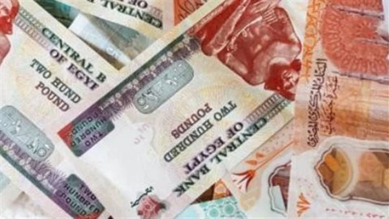 رابط الاستعلام.. صرف معاش تكافل وكرامة متاح عبر موقع الوزارة